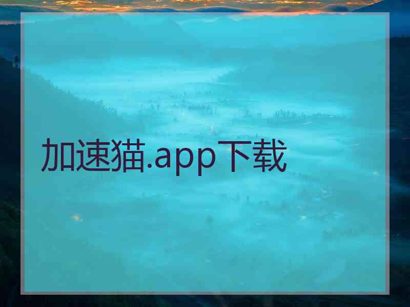 加速猫.app下载