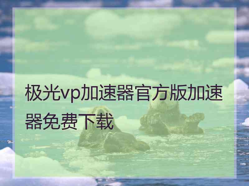 极光vp加速器官方版加速器免费下载