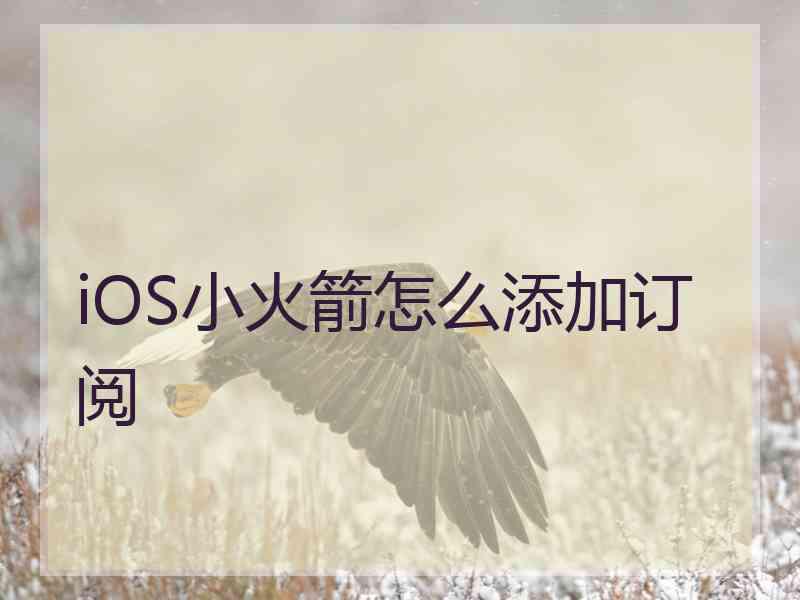 iOS小火箭怎么添加订阅