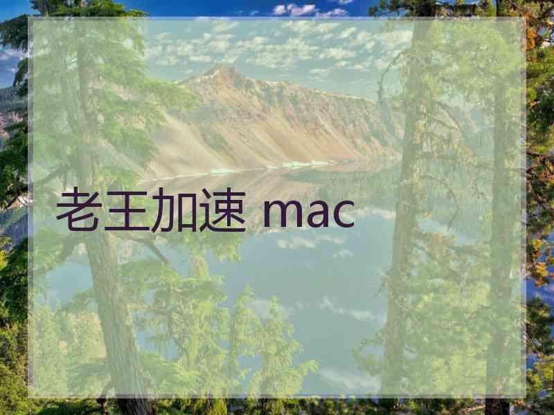 老王加速 mac