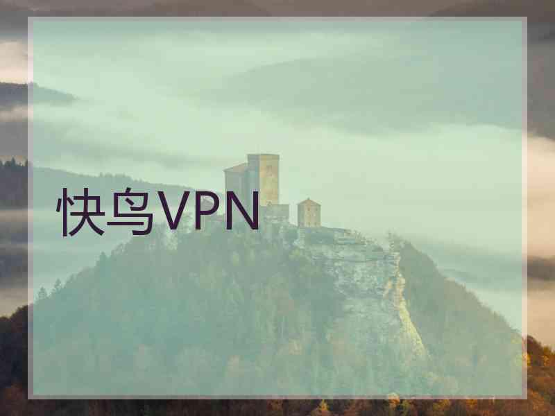 快鸟VPN