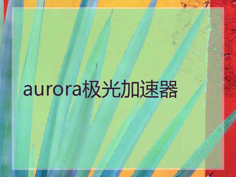 aurora极光加速器