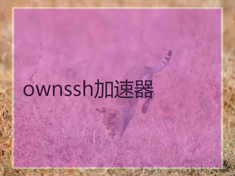 ownssh加速器