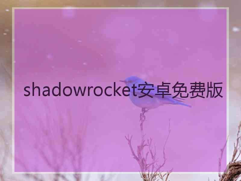 shadowrocket安卓免费版