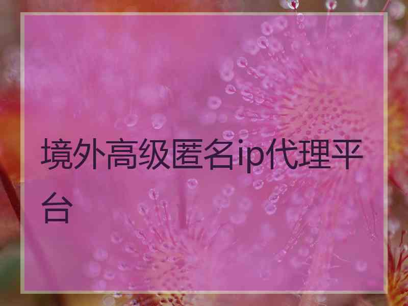 境外高级匿名ip代理平台