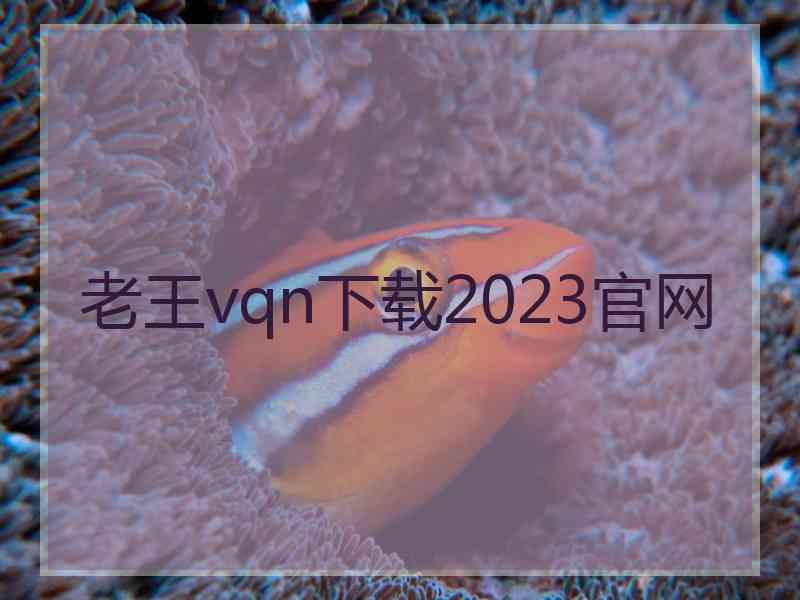 老王vqn下载2023官网