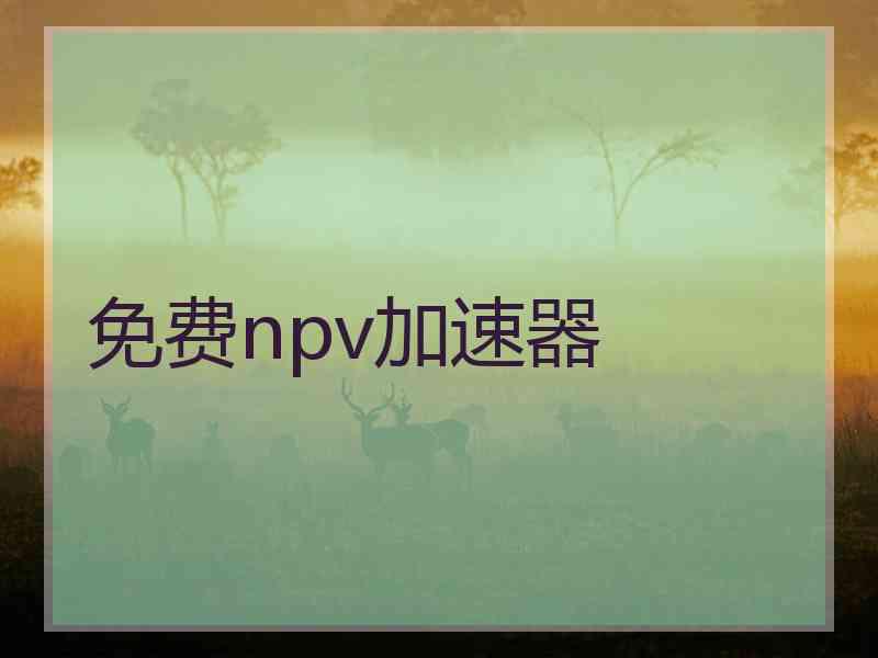 免费npv加速器