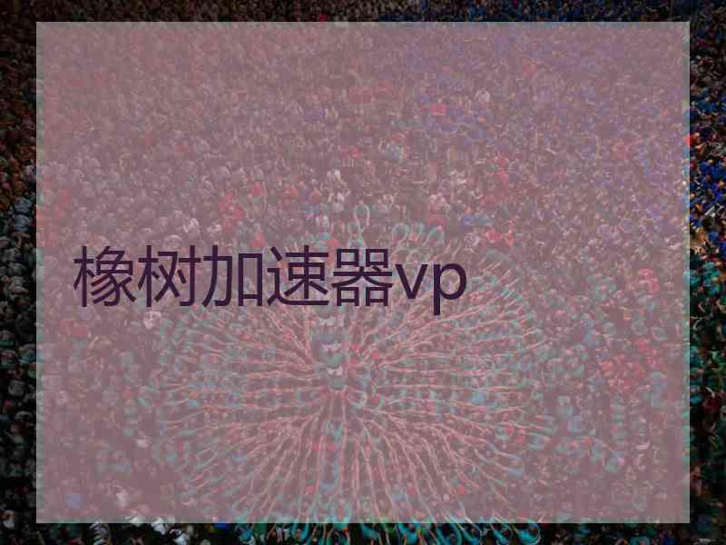 橡树加速器vp