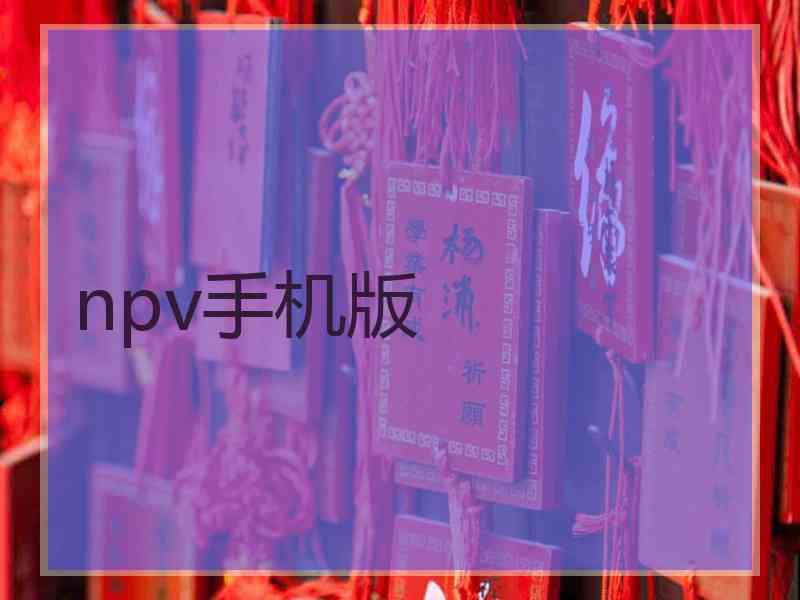 npv手机版