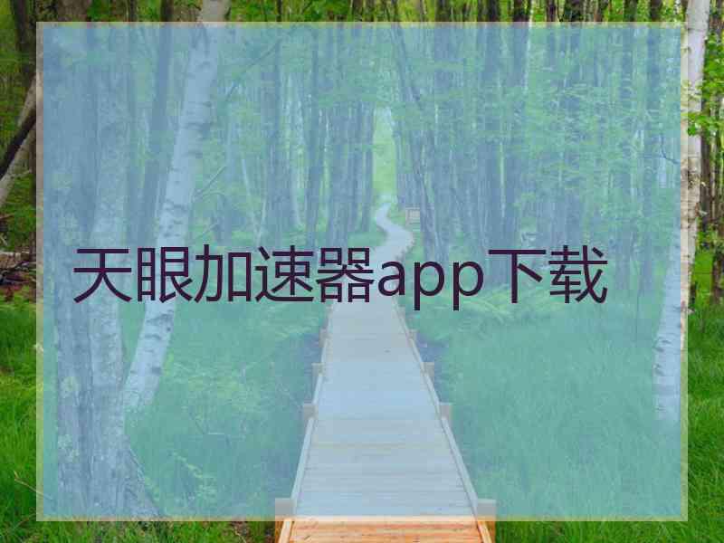 天眼加速器app下载