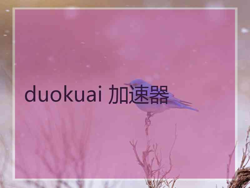 duokuai 加速器