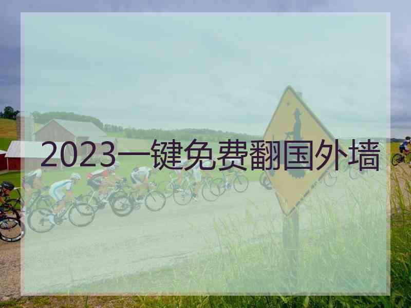 2023一键免费翻国外墙