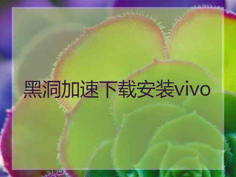 黑洞加速下载安装vivo