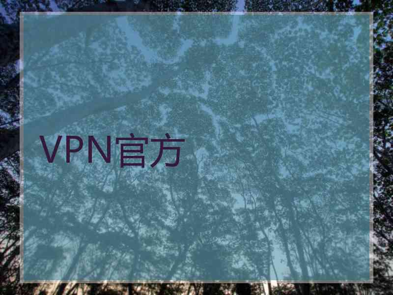 VPN官方