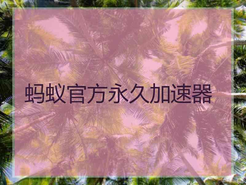 蚂蚁官方永久加速器