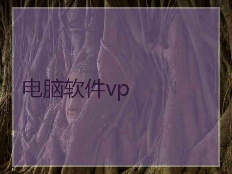 电脑软件vp