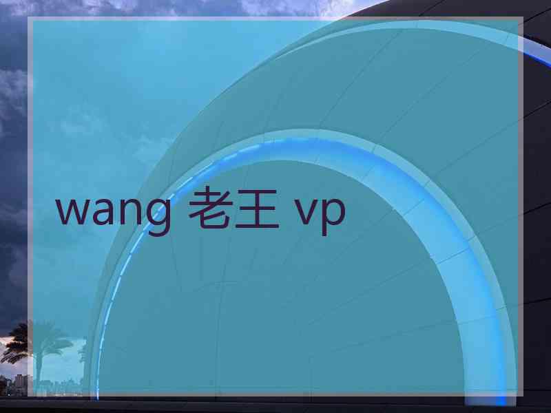 wang 老王 vp