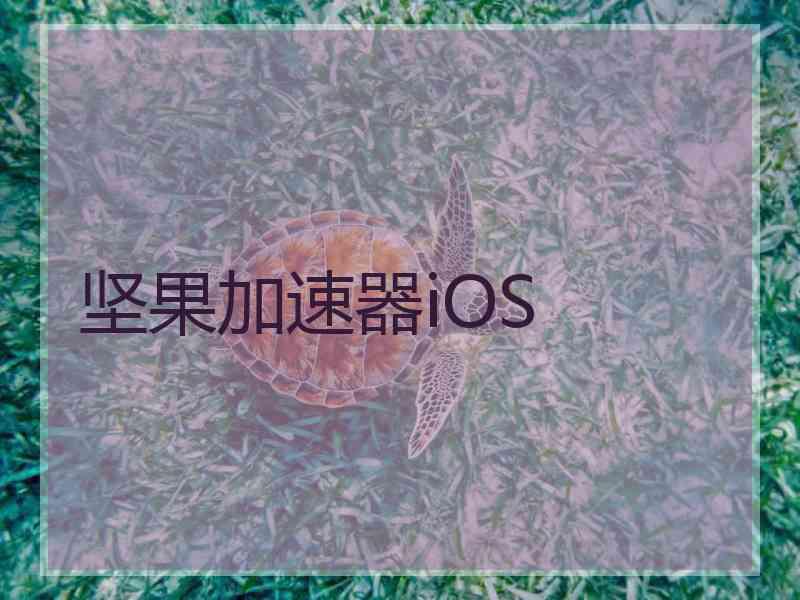 坚果加速器iOS