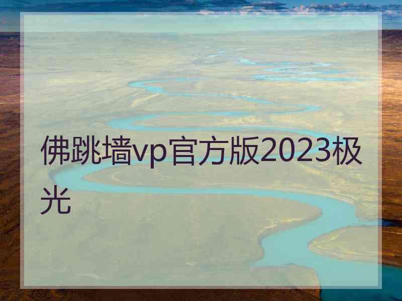 佛跳墙vp官方版2023极光