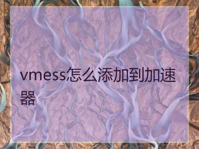 vmess怎么添加到加速器