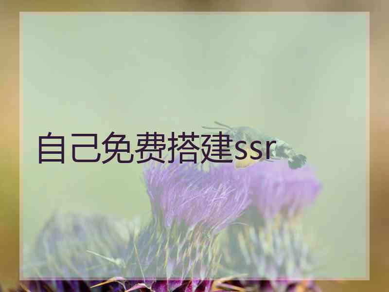 自己免费搭建ssr