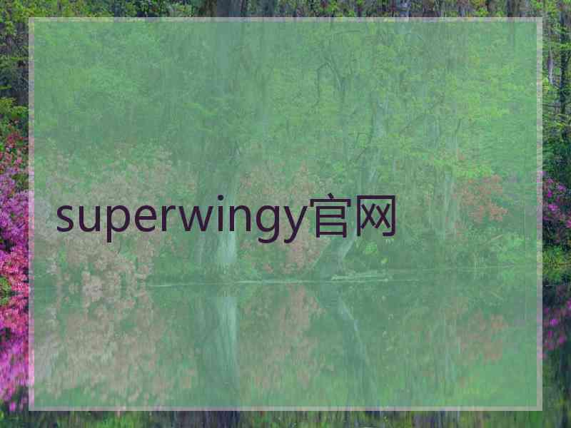 superwingy官网