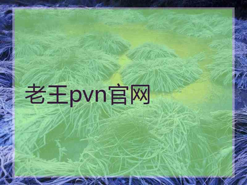 老王pvn官网