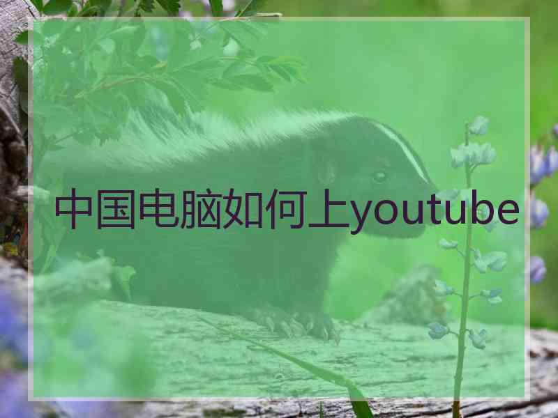 中国电脑如何上youtube