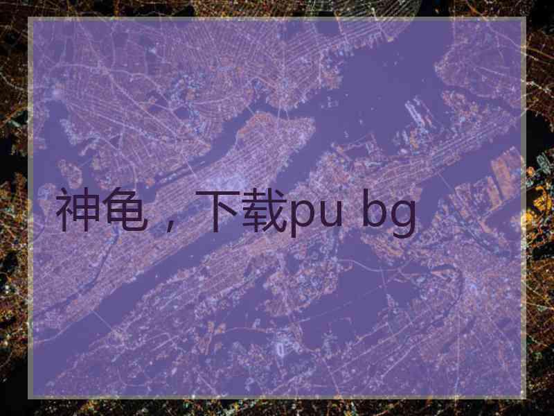 神龟，下载pu bg