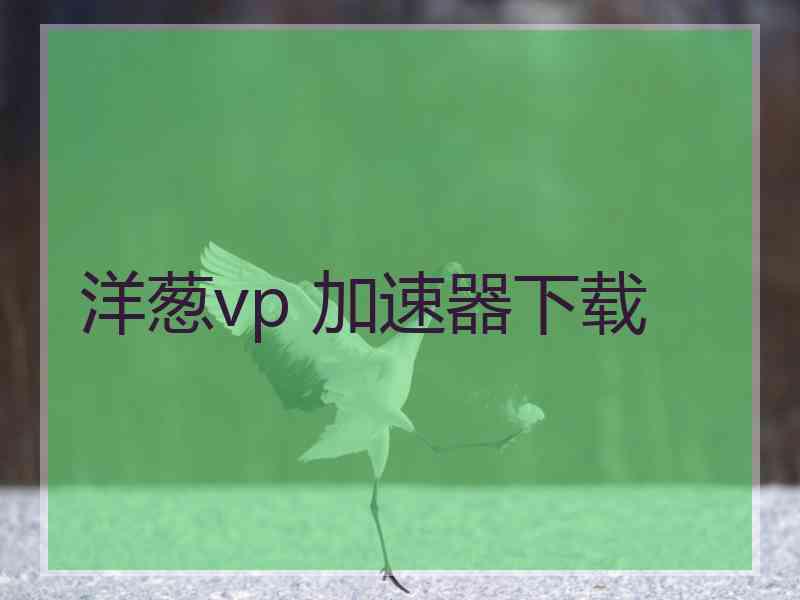 洋葱vp 加速器下载