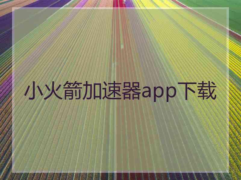 小火箭加速器app下载