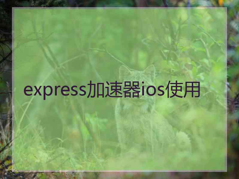 express加速器ios使用