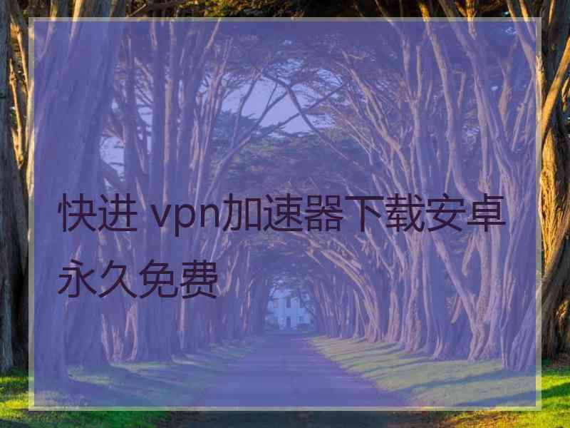 快进 vpn加速器下载安卓永久免费