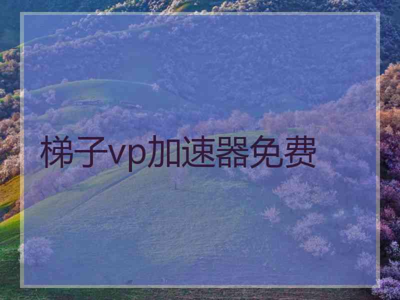 梯子vp加速器免费