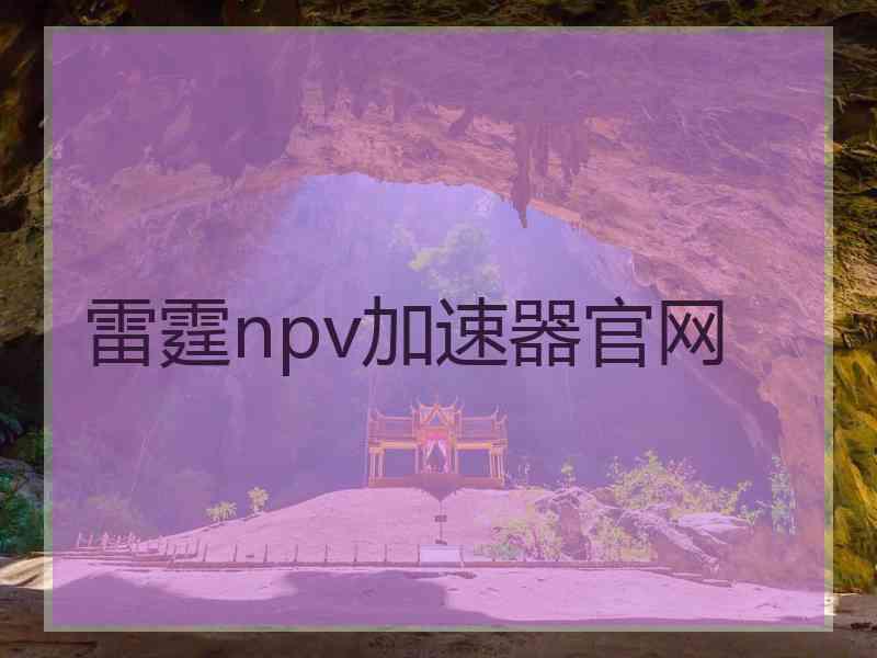 雷霆npv加速器官网