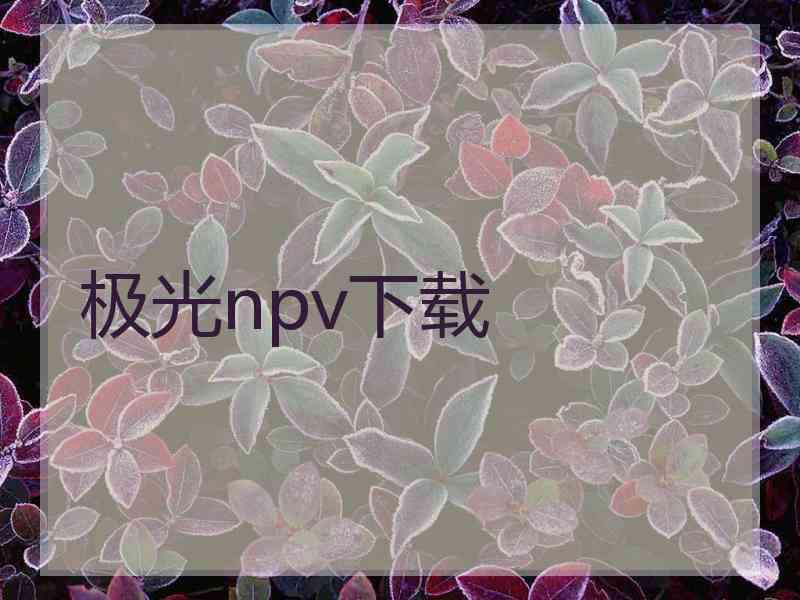 极光npv下载