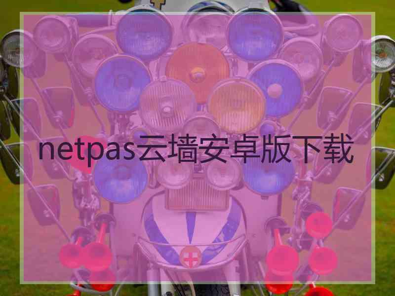 netpas云墙安卓版下载