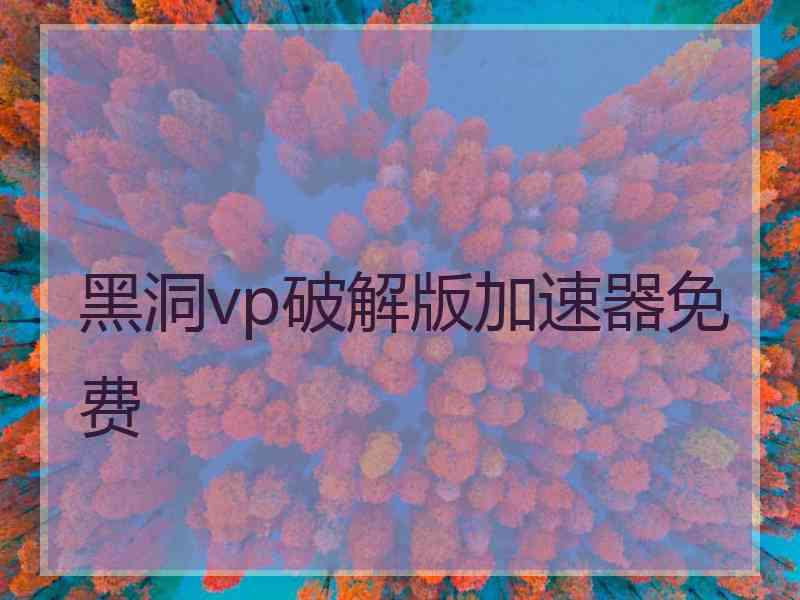 黑洞vp破解版加速器免费