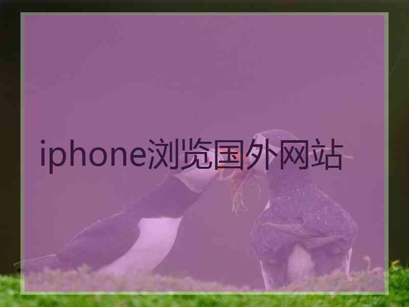 iphone浏览国外网站