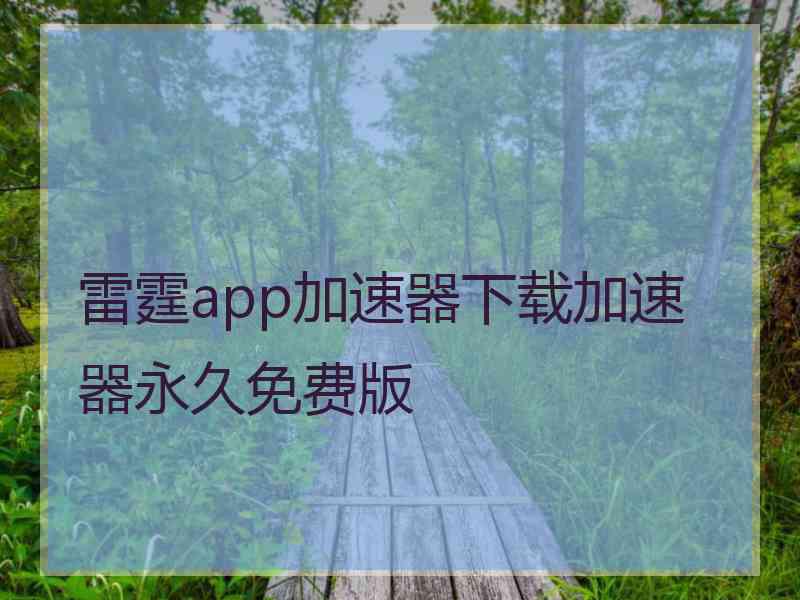 雷霆app加速器下载加速器永久免费版