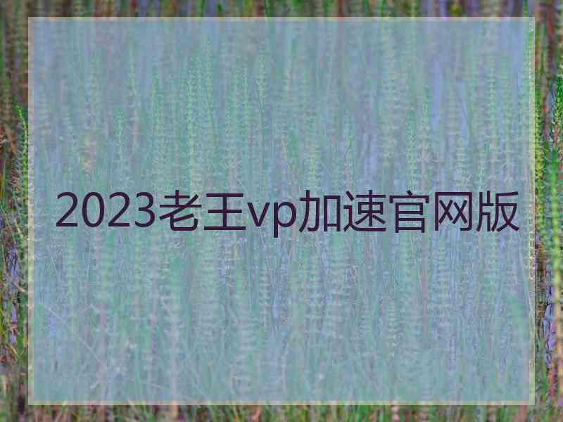 2023老王vp加速官网版