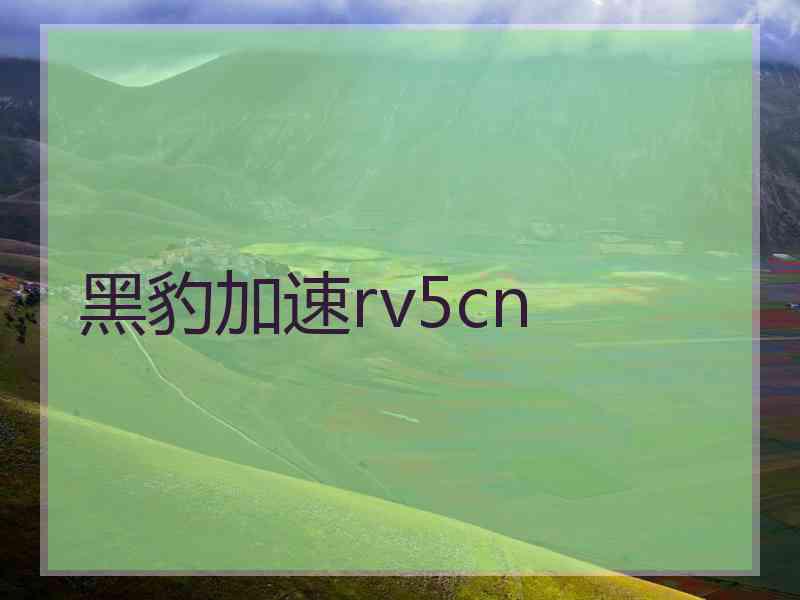 黑豹加速rv5cn