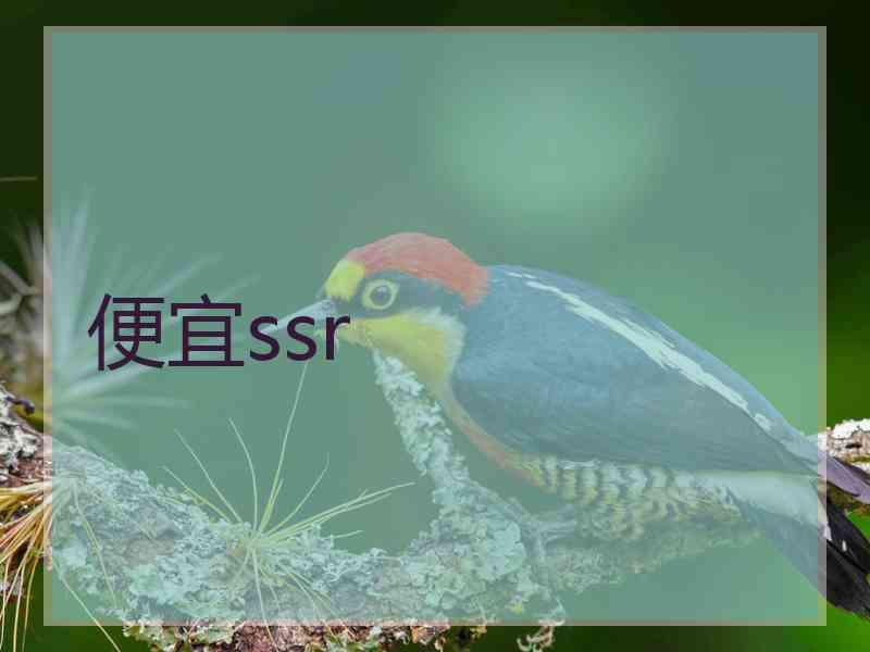 便宜ssr