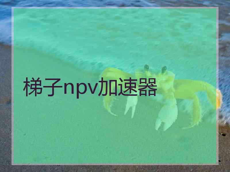 梯子npv加速器