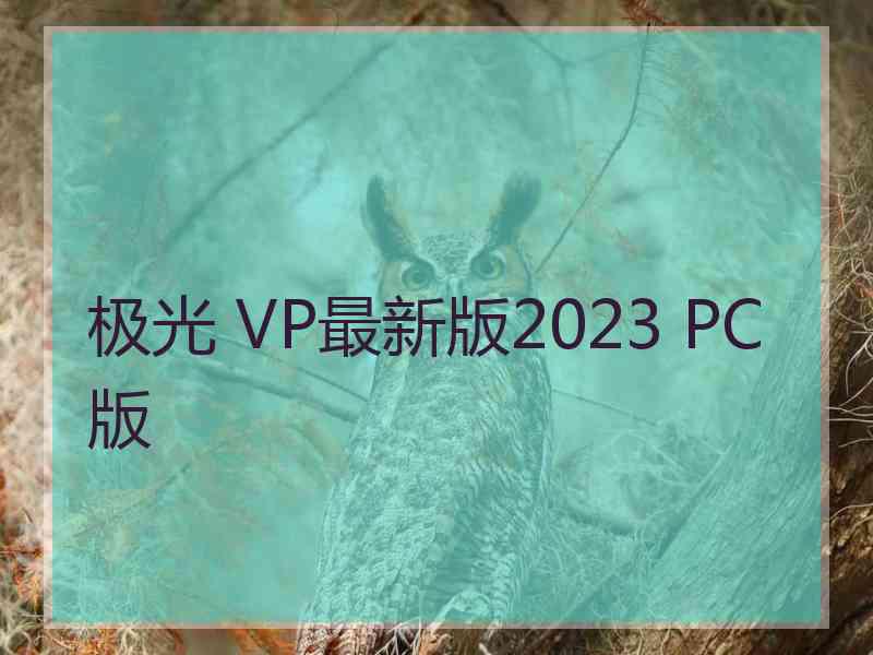 极光 VP最新版2023 PC版