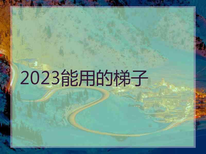 2023能用的梯子