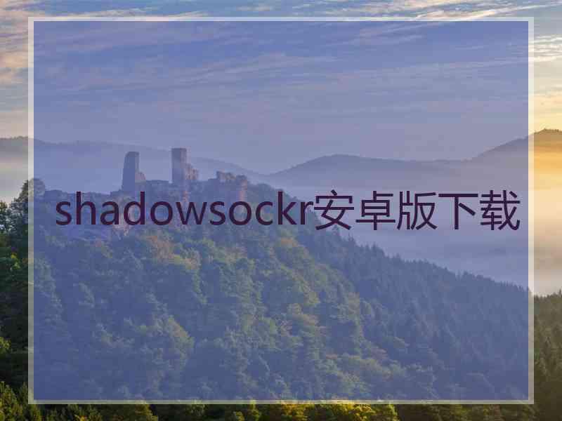 shadowsockr安卓版下载