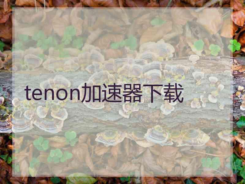 tenon加速器下载